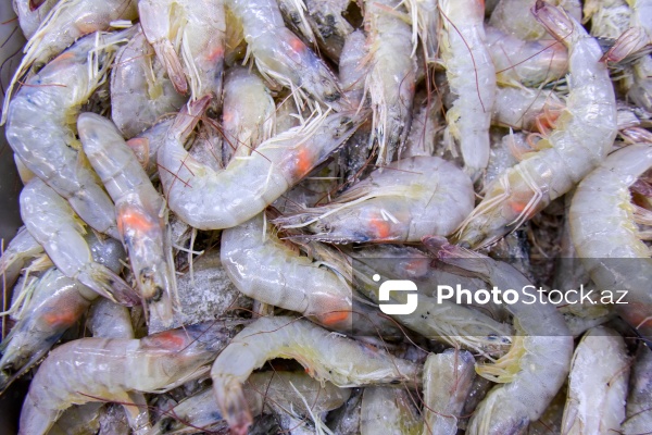 Bakıda keçirilən balıq yarmarkası