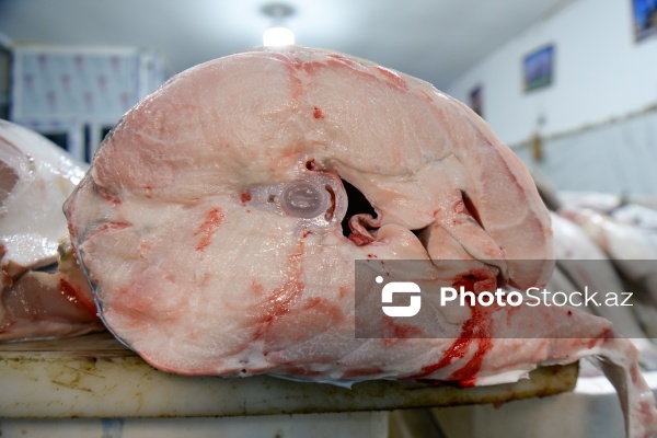 Bakıda keçirilən balıq yarmarkası