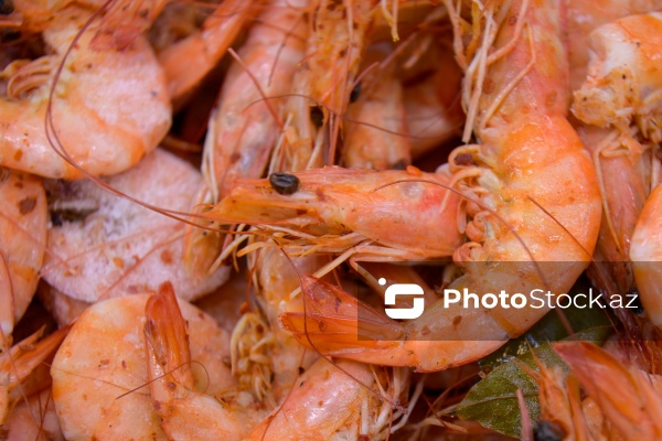 Bakıda keçirilən balıq yarmarkası