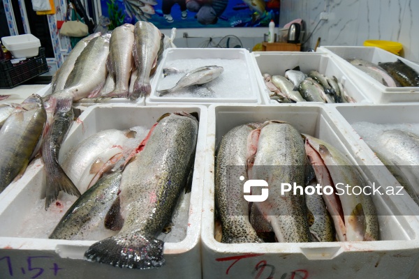 Bakıda keçirilən balıq yarmarkası