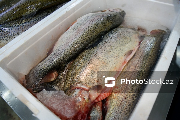 Bakıda keçirilən balıq yarmarkası
