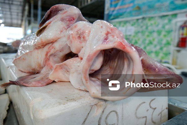 Bakıda keçirilən balıq yarmarkası