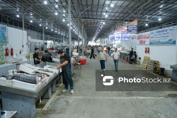 Bakıda keçirilən balıq yarmarkası