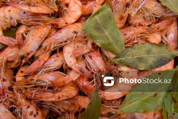 Bakıda keçirilən balıq yarmarkası