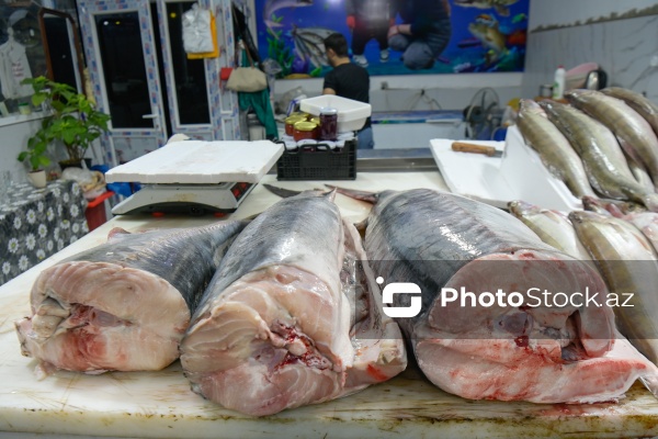 Bakıda keçirilən balıq yarmarkası