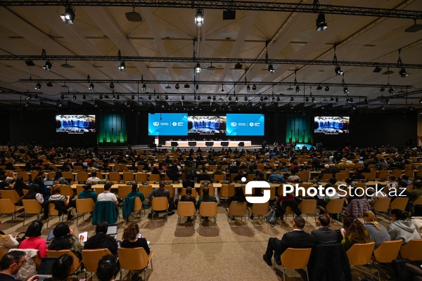 Bakıda  keçirilən COP29-un bağlanış plenar sessiyası