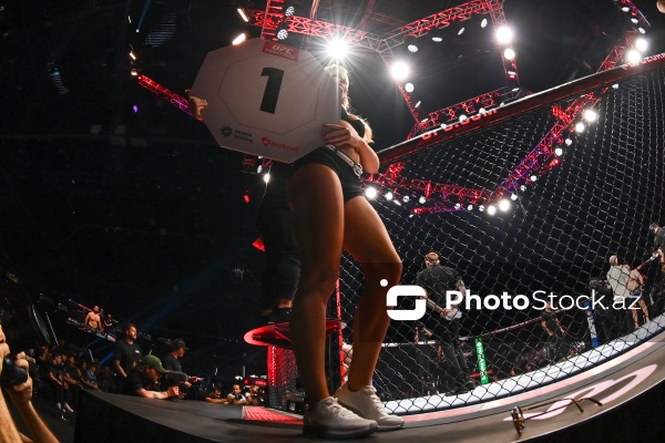 "UFC Fight Night": Hamdi Abdel Vahab və Muhammad Usman döyüşü