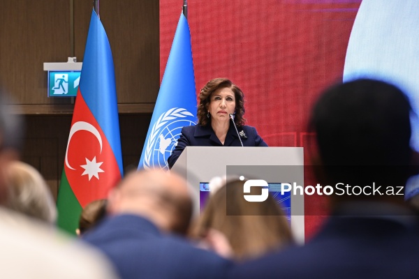 Bakıda keçirilən 4-cü Dayanıqlı İnkişaf Məqsədləri Dialoqu