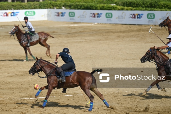 Bakıda keçirilən Peşəkar Çövkən Liqası