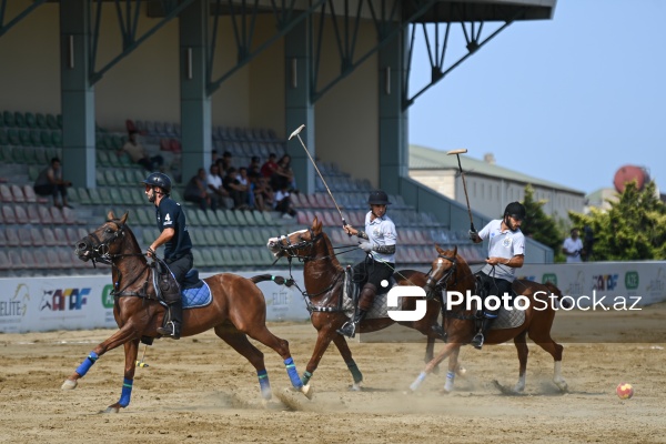 Bakıda keçirilən Peşəkar Çövkən Liqası