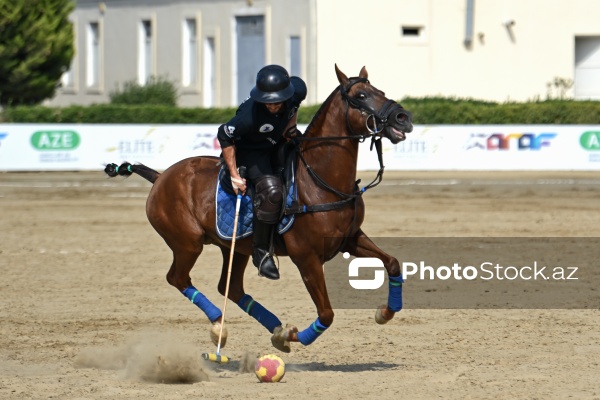 Bakıda keçirilən Peşəkar Çövkən Liqası