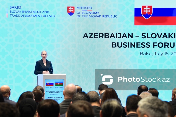 Denisa Sakova - Azərbaycan - Slovakiya biznes forumunda