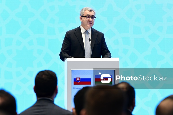 Yusif Abdullayev - Azərbaycan - Slovakiya biznes forumunda
