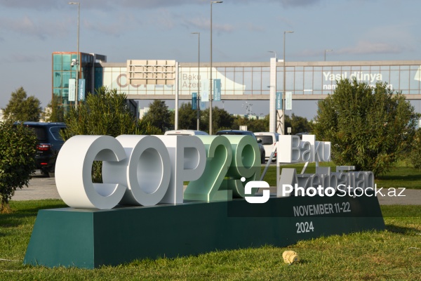 Bakıda keçirilən COP29-un beşinci günü