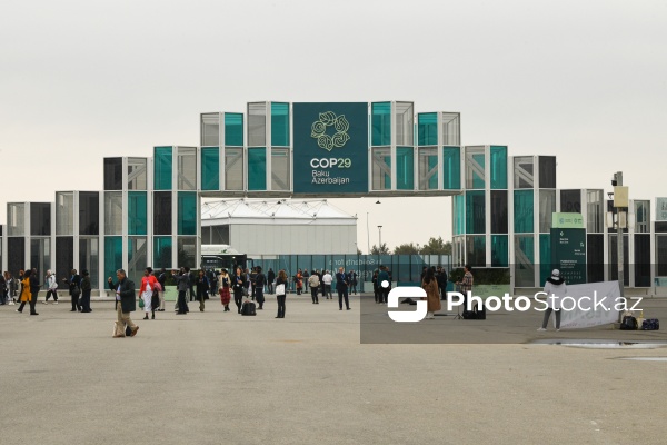 Bakıda keçirilən COP29-un doqquzuncu günü