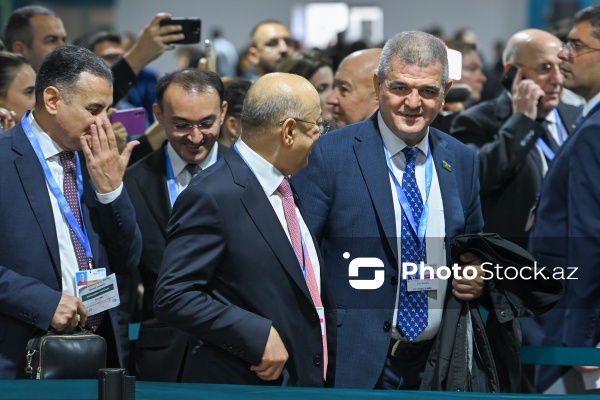 Bakıda keçirilən COP29-un ikinci günü