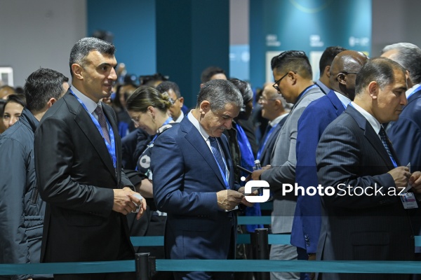 Bakıda keçirilən COP29-un ikinci günü