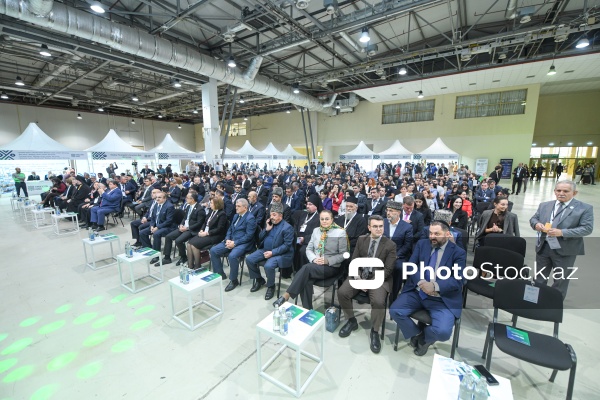 Bakıda keçirilən “Fərqliliyin rəngi” festivalı