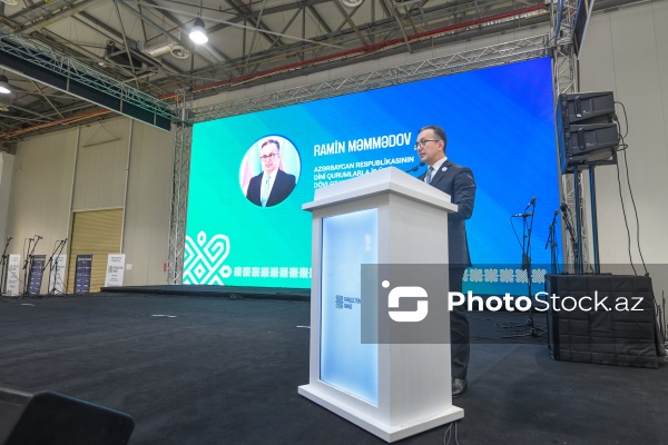 Ramin Məmmədov - “Fərqliliyin rəngi” festivalında