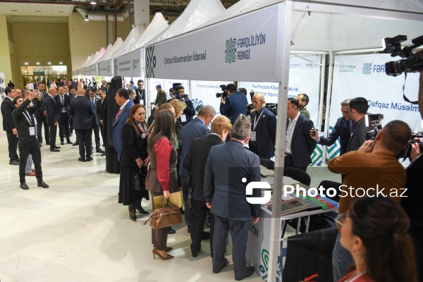 Bakıda keçirilən “Fərqliliyin rəngi” festivalı