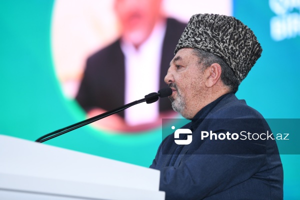 Salman Musayev - “Fərqliliyin rəngi” festivalında