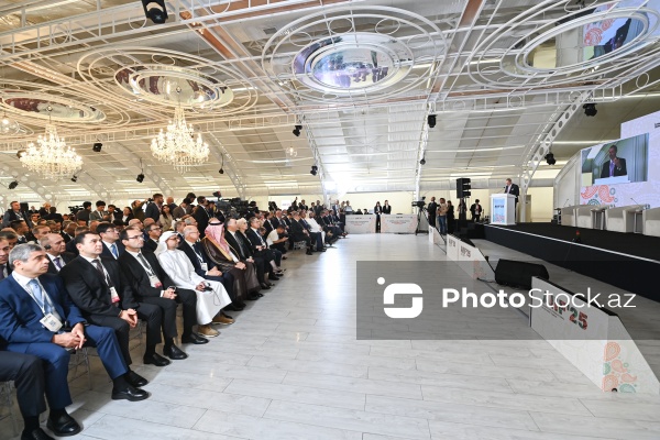 Bakıda keçirilən I Azərbaycan Beynəlxalq İnvestisiya Forumu
