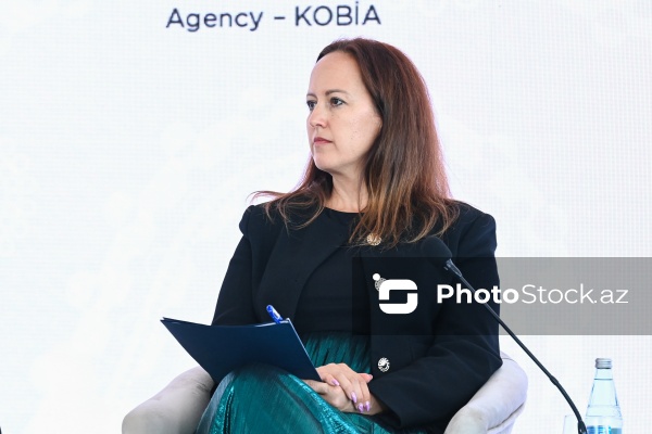 Bakıda keçirilən I Azərbaycan Beynəlxalq İnvestisiya Forumu