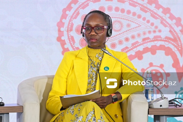 Bakıda keçirilən I Azərbaycan Beynəlxalq İnvestisiya Forumu