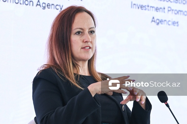 Bakıda keçirilən I Azərbaycan Beynəlxalq İnvestisiya Forumu
