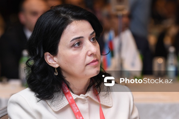 Azadə Hüseynova - II “Azərbaycan sağlamlıq turizmi konfransı”nda