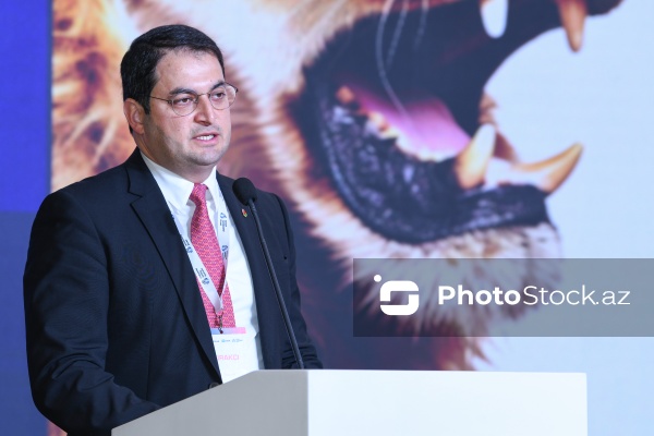 Emil Alxaslı - "Sənaye Təhlükəsizliyi Zirvəsi 2025"də