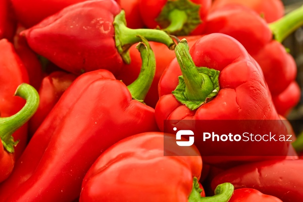 Bakıda keçirilən “Kənddən Şəhərə” yarmarkası