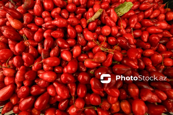 Bakıda keçirilən “Kənddən Şəhərə” yarmarkası