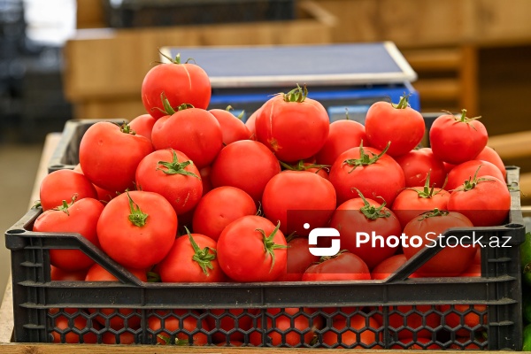 Bakıda keçirilən “Kənddən Şəhərə” yarmarkası