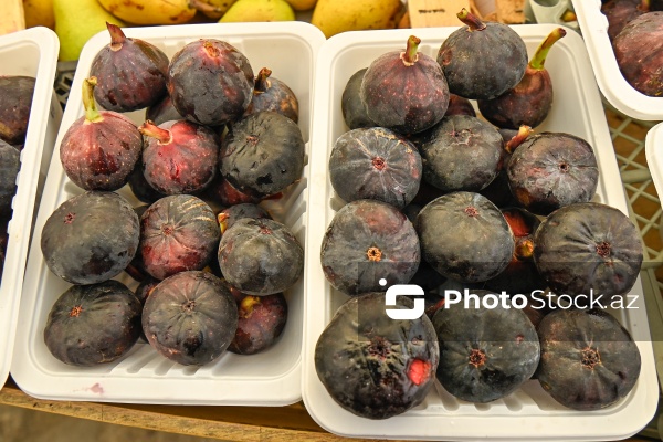 Bakıda keçirilən “Kənddən Şəhərə” yarmarkası