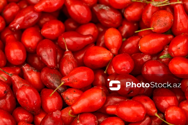 Bakıda keçirilən “Kənddən Şəhərə” yarmarkası