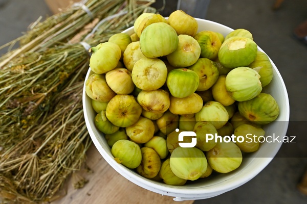 Bakıda keçirilən “Kənddən Şəhərə” yarmarkası