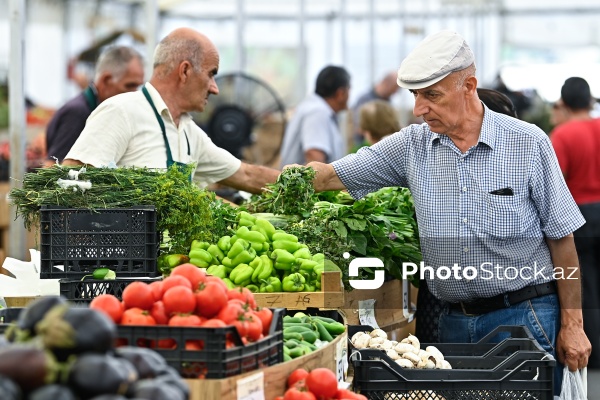 Bakıda keçirilən “Kənddən Şəhərə” yarmarkası
