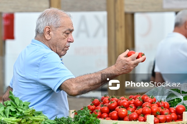 Bakıda keçirilən “Kənddən Şəhərə” yarmarkası