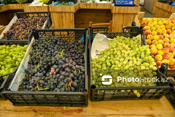 Bakıda keçirilən “Kənddən Şəhərə” yarmarkası
