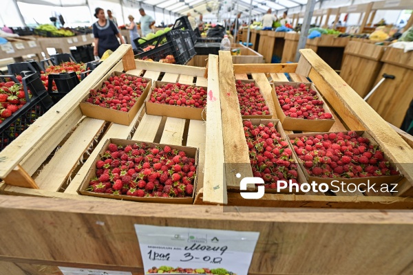 Bakıda keçirilən “Kənddən Şəhərə” yarmarkası