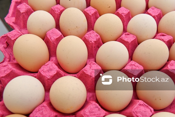 Bakıda keçirilən “Kənddən Şəhərə” yarmarkası