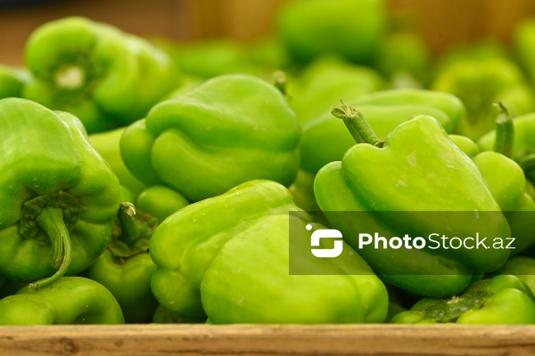 Bakıda keçirilən “Kənddən Şəhərə” yarmarkası