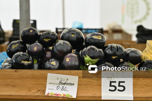 Bakıda keçirilən “Kənddən Şəhərə” yarmarkası