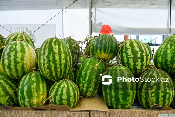 Bakıda keçirilən “Kənddən Şəhərə” yarmarkası