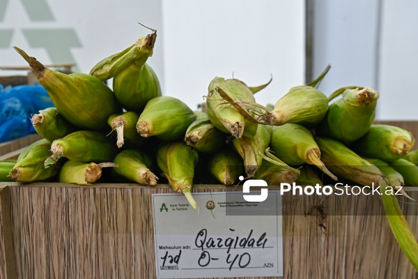 Bakıda keçirilən “Kənddən Şəhərə” yarmarkası
