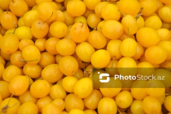 Bakıda keçirilən “Kənddən Şəhərə” yarmarkası