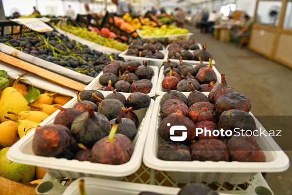 Bakıda keçirilən “Kənddən Şəhərə” yarmarkası