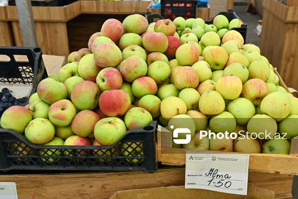 Bakıda keçirilən “Kənddən Şəhərə” yarmarkası