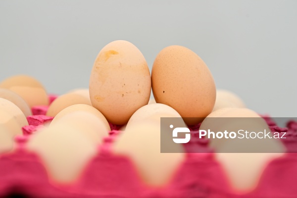 Bakıda keçirilən “Kənddən Şəhərə” yarmarkası
